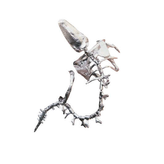 Women Wear White And Dark Bone Skeleton Ring